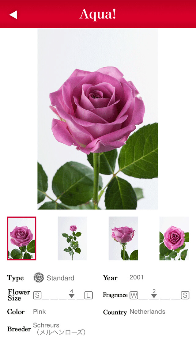 Emulate iPhone app Cut Roses 1000 using MyAndroid