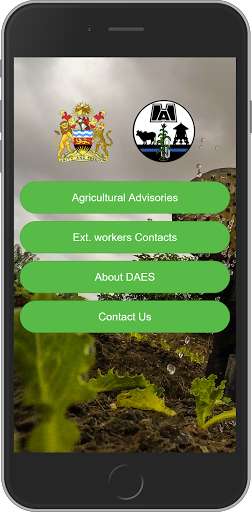 Run android online APK DAES v1 from MyAndroid or emulate DAES v1 using MyAndroid