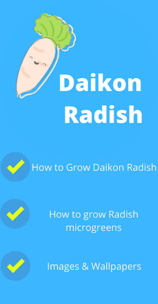 Run android online APK Daikon Radish from MyAndroid or emulate Daikon Radish using MyAndroid