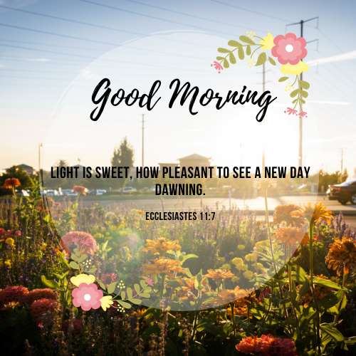 Run android online APK Daily Blessing Quotes from MyAndroid or emulate Daily Blessing Quotes using MyAndroid