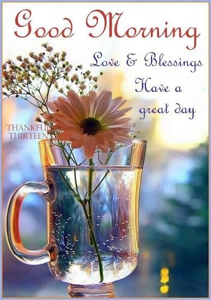 Run android online APK Daily Blessings from MyAndroid or emulate Daily Blessings using MyAndroid Run android online APK Daily Blessings from MyAndroid or emulate Daily Blessings using MyAndroid
