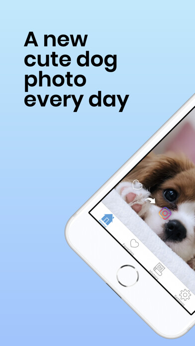 Emulate iPhone app Daily Cute Dogs Photos using MyAndroid Emulate iPhone app Daily Cute Dogs Photos using MyAndroid
