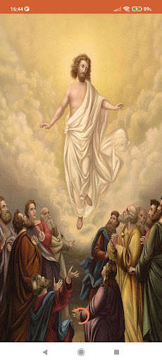 Run android online APK Daily Homilies & Reflections from MyAndroid or emulate Daily Homilies & Reflections using MyAndroid Run android online APK Daily Homilies & Reflections from MyAndroid or emulate Daily Homilies & Reflections using MyAndroid
