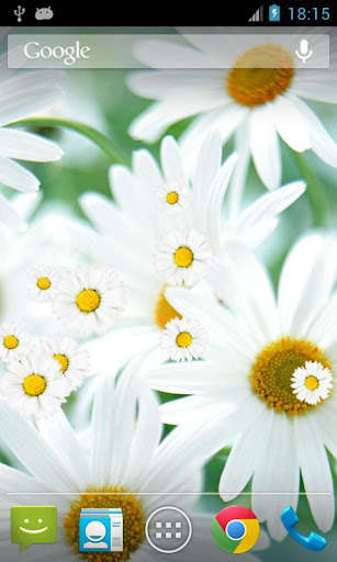 Run android online APK Daisy Flower Live Wallpaper from MyAndroid or emulate Daisy Flower Live Wallpaper using MyAndroid Run android online APK Daisy Flower Live Wallpaper from MyAndroid or emulate Daisy Flower Live Wallpaper using MyAndroid