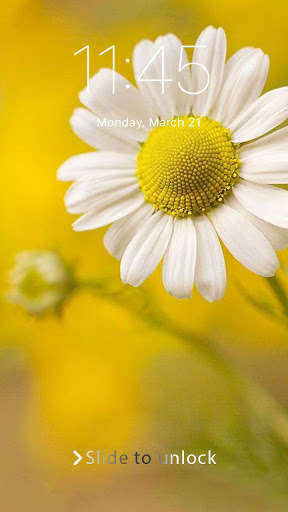 Run android online APK Daisy Sunflower Wallpaper Phone Lock from MyAndroid or emulate Daisy Sunflower Wallpaper Phone Lock using MyAndroid