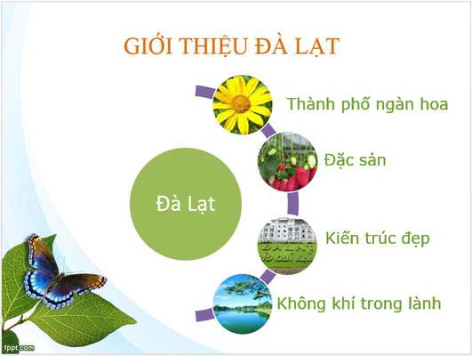 Emulate Android APK Dalat Travel