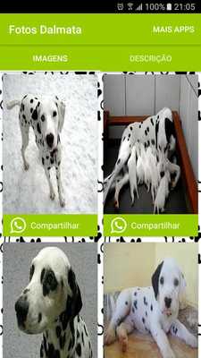 Emulate Android APK Dalmata Emulate Android APK Dalmata