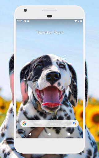 Emulate Android APK Dalmatian wallpapers