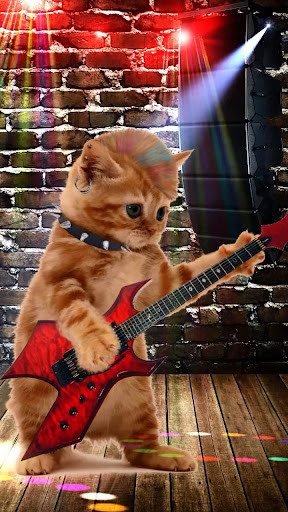 Run android online APK Dancing and Singing Funny Pets. Funny animals from MyAndroid or emulate Dancing and Singing Funny Pets. Funny animals using MyAndroid Run android online APK Dancing and Singing Funny Pets. Funny animals from MyAndroid or emulate Dancing and Singing Funny Pets. Funny animals using MyAndroid