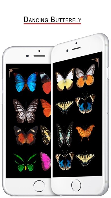 Emulate iPhone app Dancing Butterfly using MyAndroid