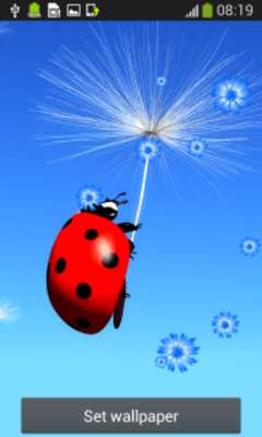 Emulate Android APK Dandelion Live Wallpapers Emulate Android APK Dandelion Live Wallpapers