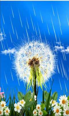 Emulate Android APK Dandelions Rainy Day