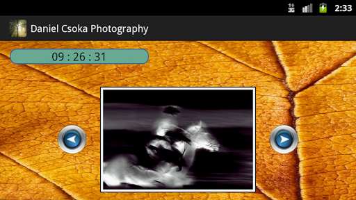 Run android online APK Daniel Csoka Photography from MyAndroid or emulate Daniel Csoka Photography using MyAndroid