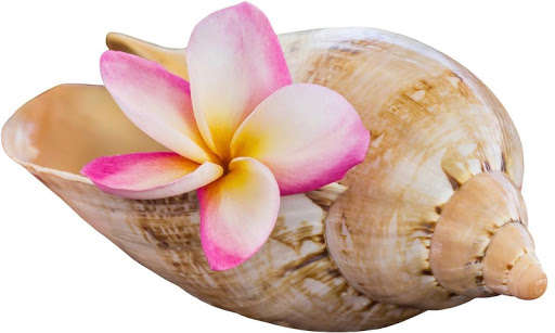 Run android online APK Danielles Massage from MyAndroid or emulate Danielles Massage using MyAndroid
