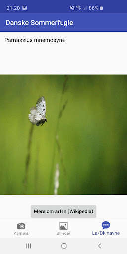 Run android online APK Danske Sommerfugle from MyAndroid or emulate Danske Sommerfugle using MyAndroid
