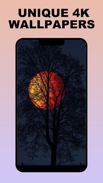 Run android online APK Dark Naturalism Wallpapers HD from MyAndroid or emulate Dark Naturalism Wallpapers HD using MyAndroid Run android online APK Dark Naturalism Wallpapers HD from MyAndroid or emulate Dark Naturalism Wallpapers HD using MyAndroid