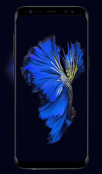 Run android online APK Dark Wallpapers - 4k  Full HD from MyAndroid or emulate Dark Wallpapers - 4k  Full HD using MyAndroid