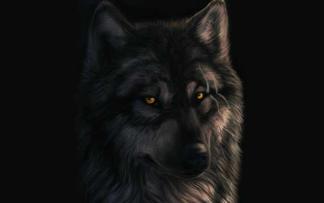 Emulate Android APK Dark Wolf Live Wallpaper Emulate Android APK Dark Wolf Live Wallpaper