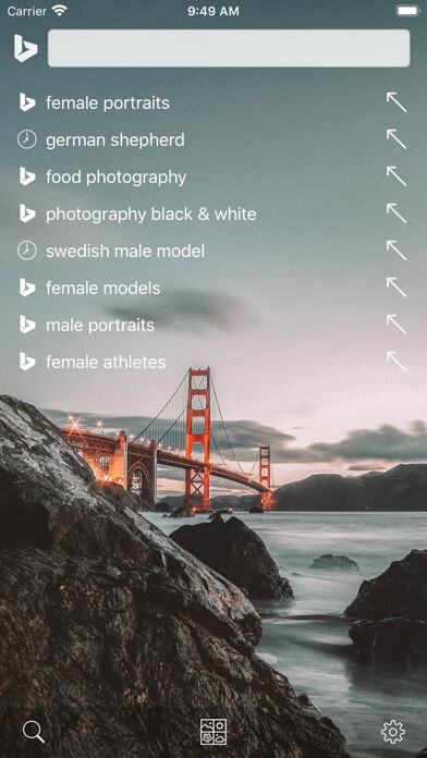 Emulate iPhone app das Image Search and Explore using MyAndroid