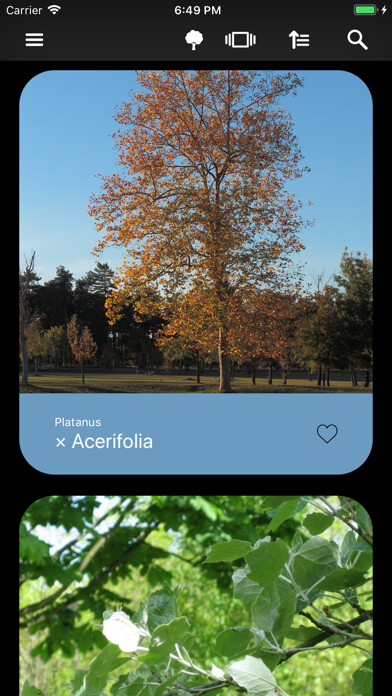 Emulate iPhone app Deciduous Trees 2.0 using MyAndroid Emulate iPhone app Deciduous Trees 2.0 using MyAndroid