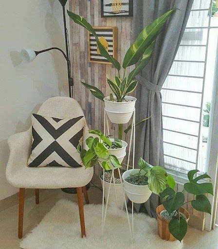 Run android online APK Decoration of indoor plants from MyAndroid or emulate Decoration of indoor plants using MyAndroid