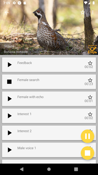Run android online APK Decoy Grouse - Huntsman from MyAndroid or emulate Decoy Grouse - Huntsman using MyAndroid