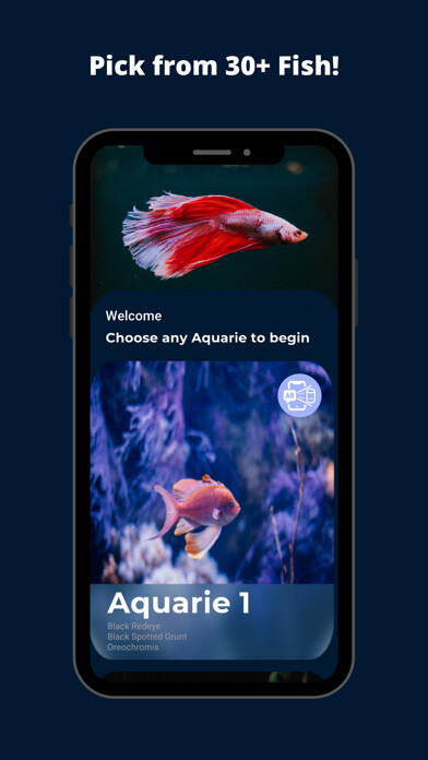 Run android online APK Deep Dive with Fish Aquarie from MyAndroid or emulate Deep Dive with Fish Aquarie using MyAndroid Run android online APK Deep Dive with Fish Aquarie from MyAndroid or emulate Deep Dive with Fish Aquarie using MyAndroid