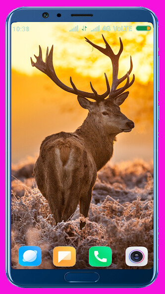Run android online APK Deer HD Wallpaper from MyAndroid or emulate Deer HD Wallpaper using MyAndroid Run android online APK Deer HD Wallpaper from MyAndroid or emulate Deer HD Wallpaper using MyAndroid