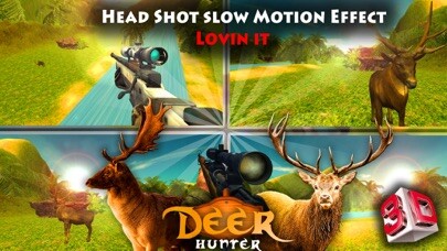 Emulate iPhone app Deer Hunters Jungle Challenge 3D using MyAndroid Emulate iPhone app Deer Hunters Jungle Challenge 3D using MyAndroid