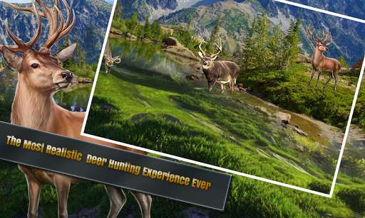Run android online APK Deer Sniper Hunter: Wild Animal Hunting Game from MyAndroid or emulate Deer Sniper Hunter: Wild Animal Hunting Game using MyAndroid