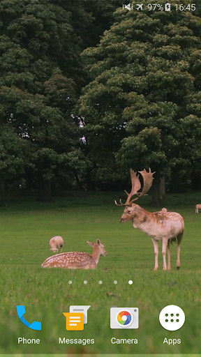 Run android online APK Deers Video Live Wallpaper from MyAndroid or emulate Deers Video Live Wallpaper using MyAndroid Run android online APK Deers Video Live Wallpaper from MyAndroid or emulate Deers Video Live Wallpaper using MyAndroid