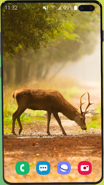 Emulate Android APK Deer Wallpaper HD Emulate Android APK Deer Wallpaper HD