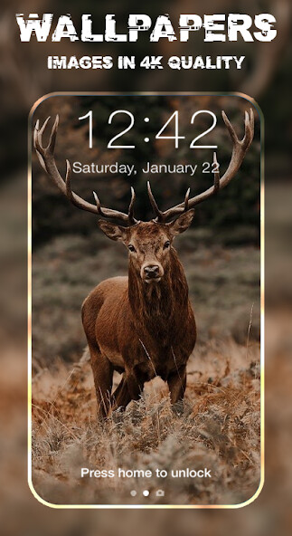 Run android online APK Deer Wallpapers 4K from MyAndroid or emulate Deer Wallpapers 4K using MyAndroid Run android online APK Deer Wallpapers 4K from MyAndroid or emulate Deer Wallpapers 4K using MyAndroid