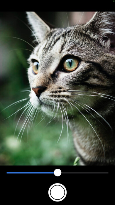Emulate iPhone app Depth Camera using MyAndroid