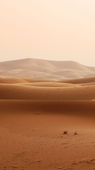 Run android online APK Desert Wallpaper from MyAndroid or emulate Desert Wallpaper using MyAndroid Run android online APK Desert Wallpaper from MyAndroid or emulate Desert Wallpaper using MyAndroid