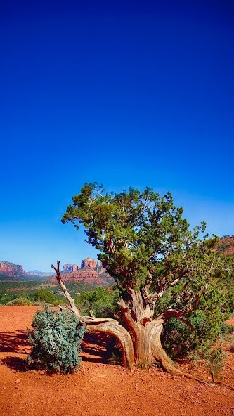 Emulate Android APK Desert Wallpapers Emulate Android APK Desert Wallpapers