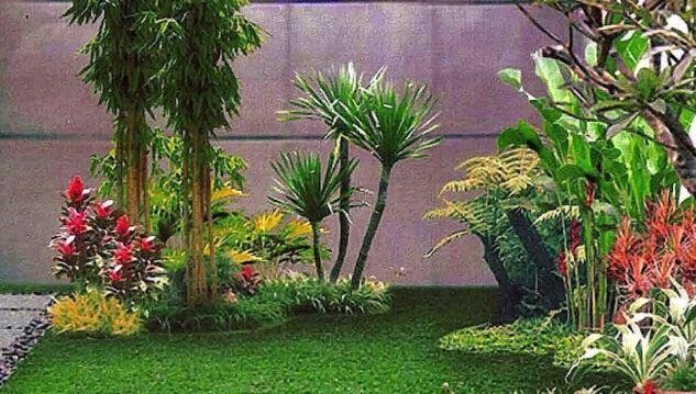 Run android online APK Design a garden for a minimalist home from MyAndroid or emulate Design a garden for a minimalist home using MyAndroid Run android online APK Design a garden for a minimalist home from MyAndroid or emulate Design a garden for a minimalist home using MyAndroid