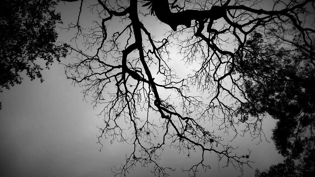 Run android online APK Design dark wallpapers from MyAndroid or emulate Design dark wallpapers using MyAndroid