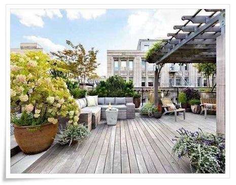 Run android online APK Design Rooftop Garden from MyAndroid or emulate Design Rooftop Garden using MyAndroid Run android online APK Design Rooftop Garden from MyAndroid or emulate Design Rooftop Garden using MyAndroid