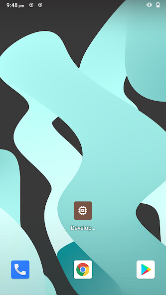 Run android online APK Developer Settings from MyAndroid or emulate Developer Settings using MyAndroid