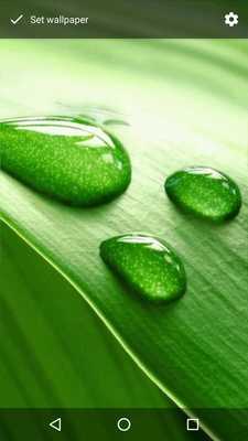 Emulate Android APK Dew Drops Background