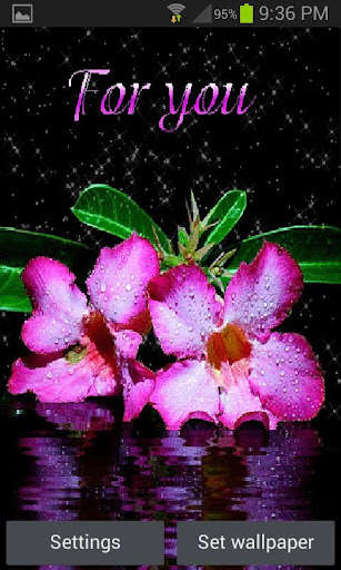 Run android online APK Dewy Pink Flowers LWP from MyAndroid or emulate Dewy Pink Flowers LWP using MyAndroid