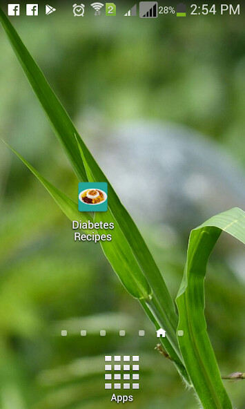 Emulate Android APK Diabetes Recipes Emulate Android APK Diabetes Recipes