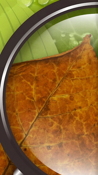Emulate iPhone app DiagnoPlantTobacco using MyAndroid