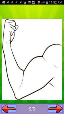 Emulate Android APK Dibujar Cuerpo humano