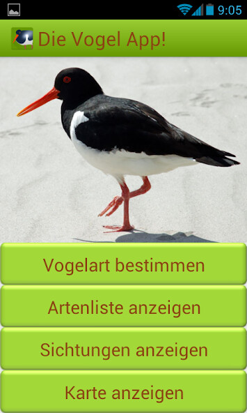 Run android online APK Die Vogel App! from MyAndroid or emulate Die Vogel App! using MyAndroid Run android online APK Die Vogel App! from MyAndroid or emulate Die Vogel App! using MyAndroid