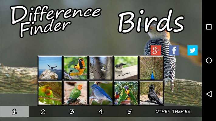 Emulate Android APK Difference Finder Birds Emulate Android APK Difference Finder Birds