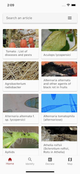 Emulate iPhone app Di@gnoPlant Tomate using MyAndroid Emulate iPhone app Di@gnoPlant Tomate using MyAndroid