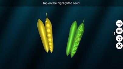 Emulate iPhone app Dihybrid cross using MyAndroid Emulate iPhone app Dihybrid cross using MyAndroid