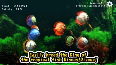 Emulate iPhone app Discus museum using MyAndroid